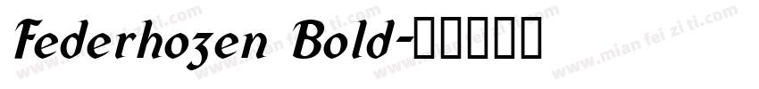 Federhozen Bold字体转换